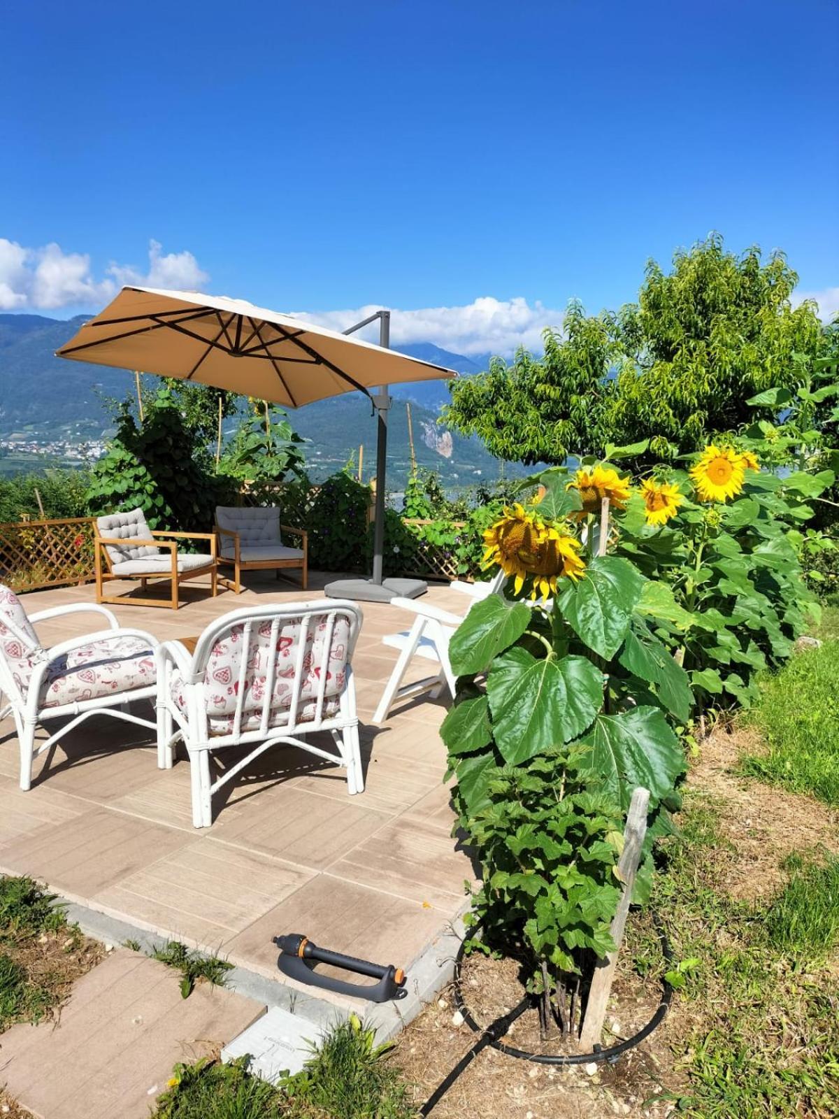 I Girasoli Sanzeno Dış mekan fotoğraf