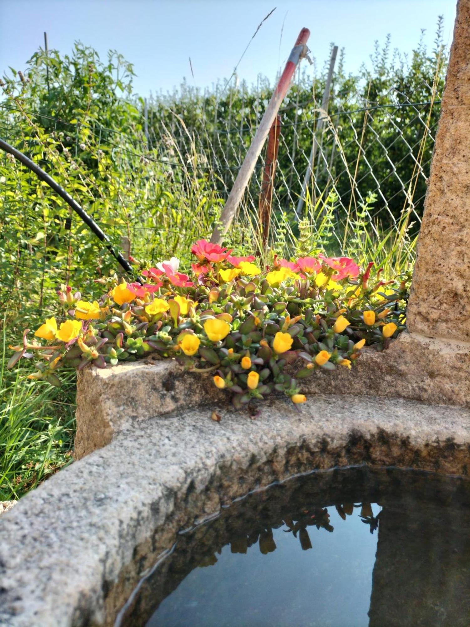 I Girasoli Sanzeno Dış mekan fotoğraf