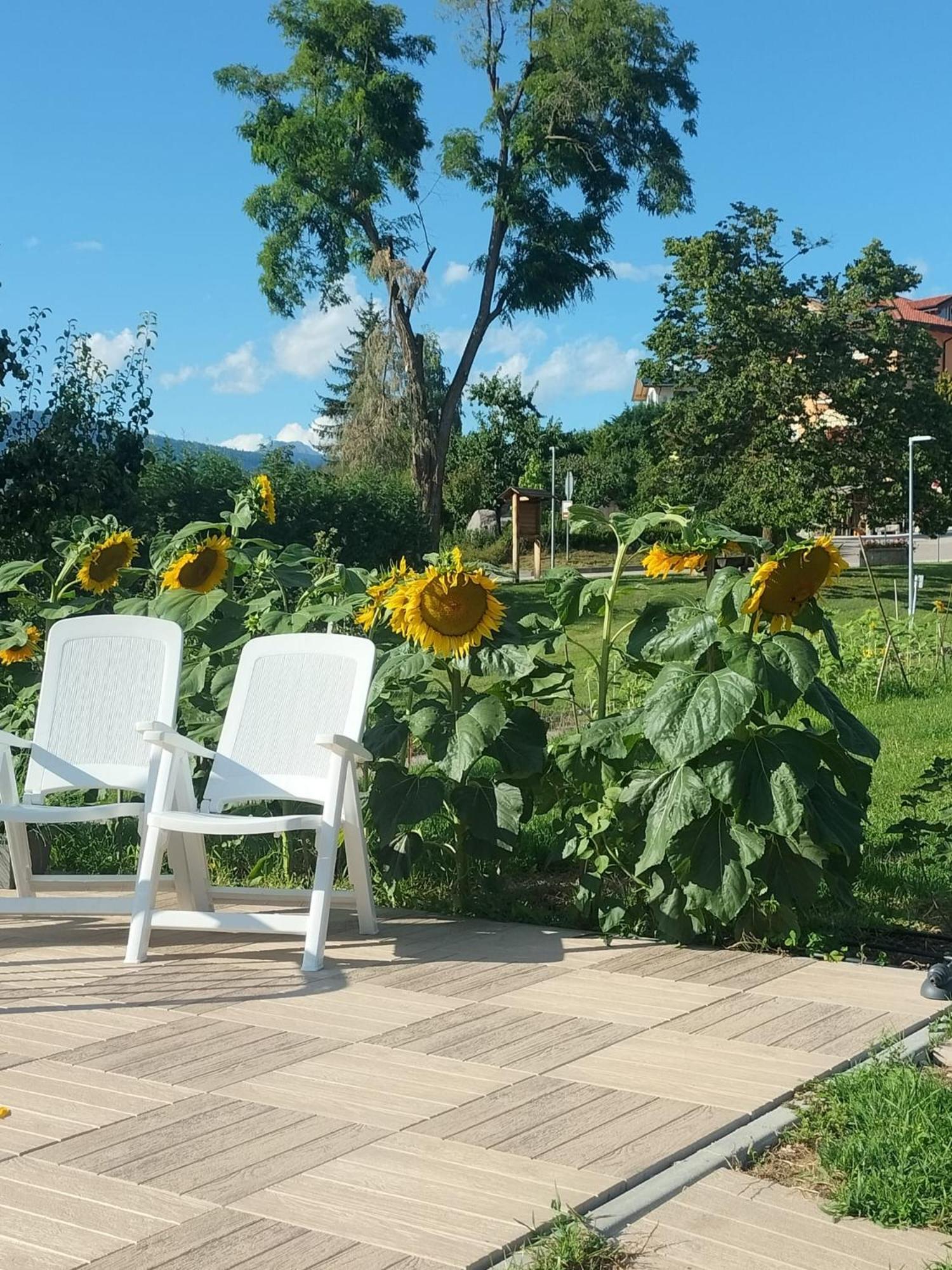I Girasoli Sanzeno Dış mekan fotoğraf