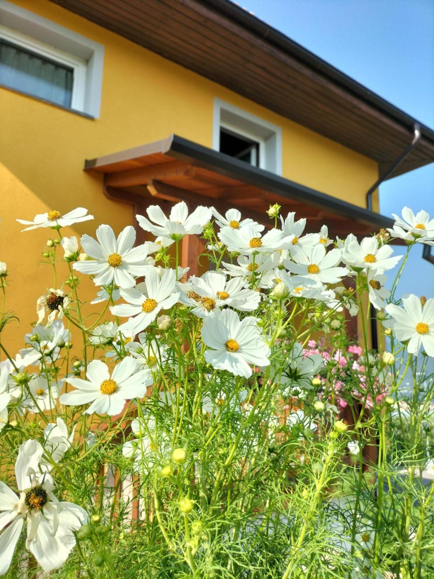 I Girasoli Sanzeno Dış mekan fotoğraf